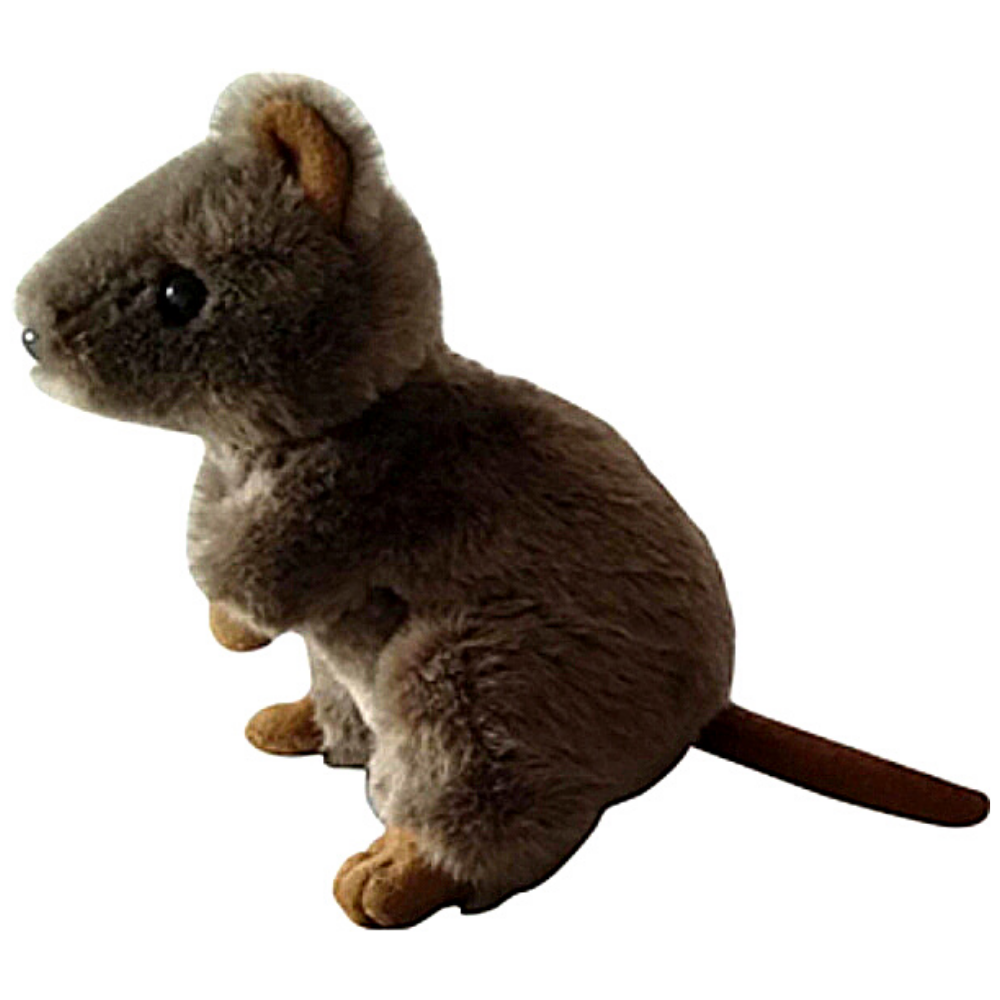 Quokka soft toy 2025