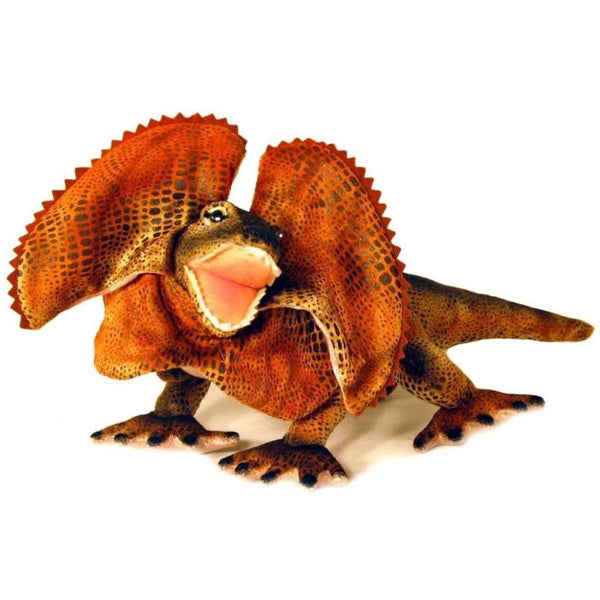 Frilled Neck Lizard Soft Toy 34cm - Philly – Oz Australia Souvenirs