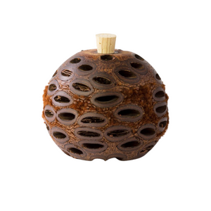 Mini Banksia Pod Aroma Nut 