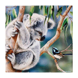 Fauna of Australia Koala & Wren Trivet