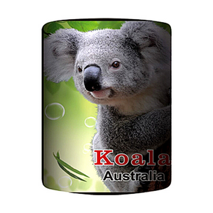 Koala Stubby Holder
